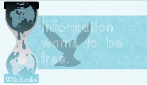 wl_information_free